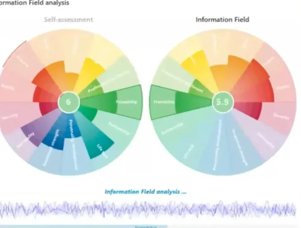 Information Field analysis